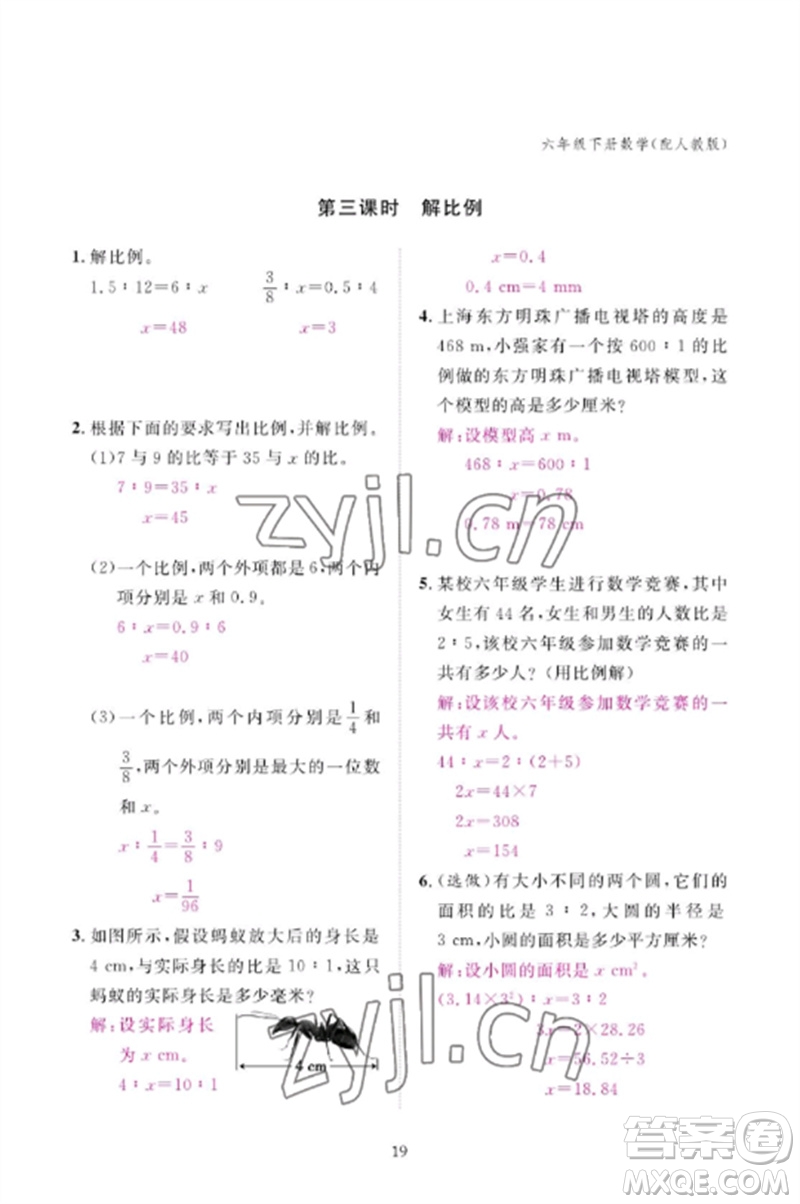 江西教育出版社2023年芝麻開(kāi)花課堂作業(yè)本六年級(jí)數(shù)學(xué)下冊(cè)人教版參考答案