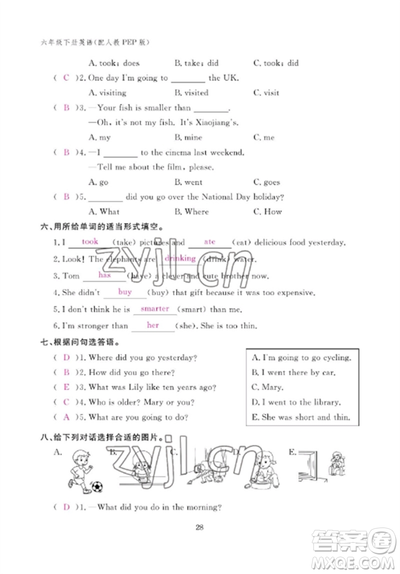 江西教育出版社2023年芝麻開花課堂作業(yè)本六年級英語下冊人教PEP版參考答案