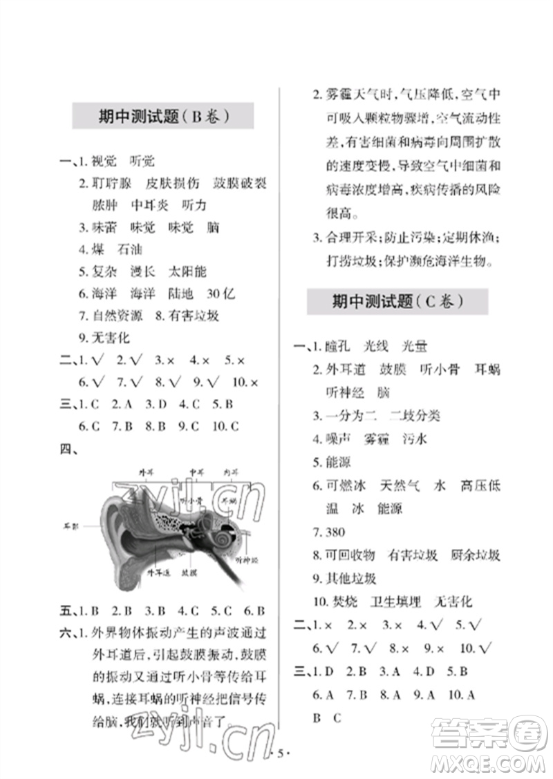 青島出版社2023單元自測試卷六年級科學下冊青島版參考答案