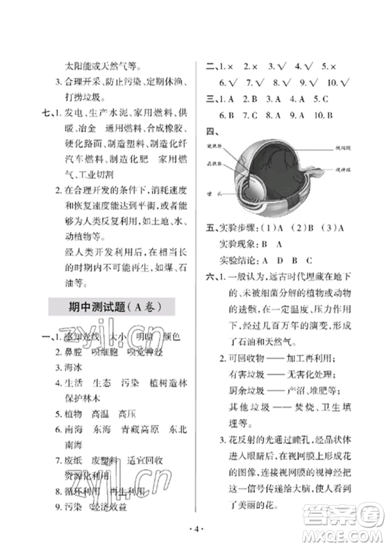 青島出版社2023單元自測試卷六年級科學下冊青島版參考答案