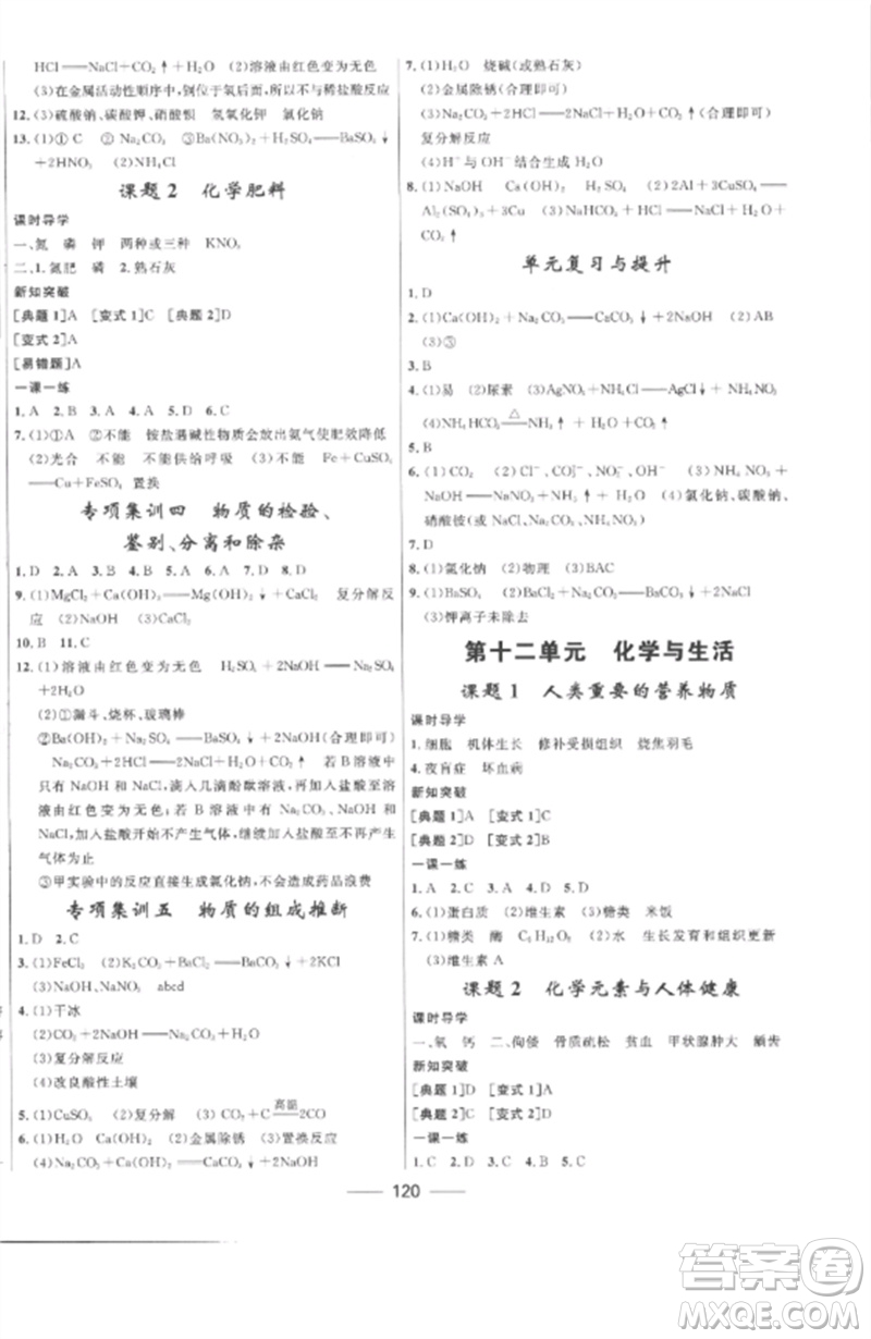 河北少年兒童出版社2023奪冠百分百新導(dǎo)學課時練九年級化學下冊人教版參考答案