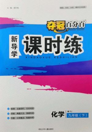 河北少年兒童出版社2023奪冠百分百新導(dǎo)學課時練九年級化學下冊人教版參考答案