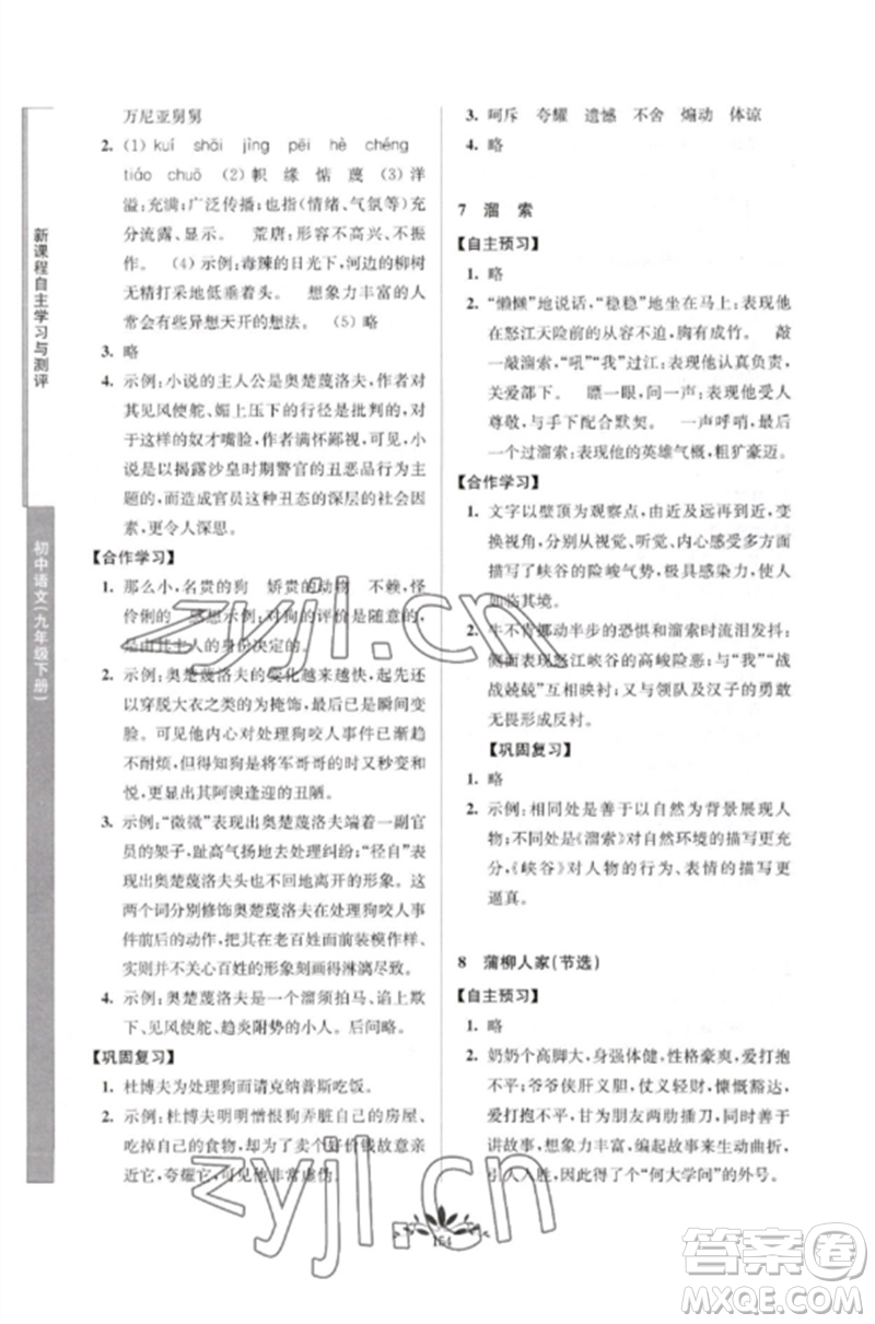 南京師范大學出版社2023新課程自主學習與測評九年級語文下冊人教版參考答案