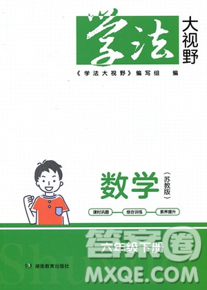 湖南教育出版社2023學法大視野六年級下冊數(shù)學蘇教版參考答案
