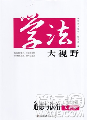 湖南教育出版社2023學(xué)法大視野七年級(jí)下冊(cè)道德與法治人教版參考答案
