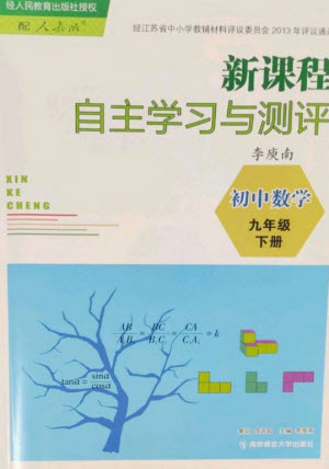 南京師范大學(xué)出版社2023新課程自主學(xué)習(xí)與測(cè)評(píng)九年級(jí)數(shù)學(xué)下冊(cè)人教版參考答案