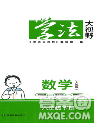 湖南教育出版社2023學(xué)法大視野六年級(jí)下冊(cè)數(shù)學(xué)人教版參考答案