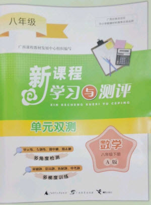廣西師范大學(xué)出版社2023新課程學(xué)習(xí)與測評單元雙測八年級數(shù)學(xué)下冊人教版A版參考答案