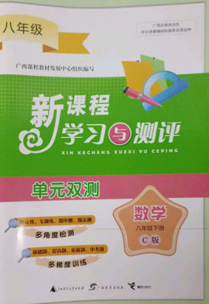 廣西師范大學(xué)出版社2023新課程學(xué)習(xí)與測評(píng)單元雙測八年級(jí)數(shù)學(xué)下冊(cè)滬科版C版參考答案