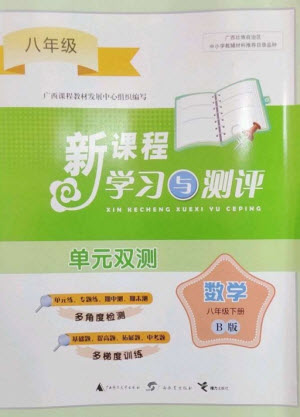 廣西師范大學(xué)出版社2023新課程學(xué)習(xí)與測評單元雙測八年級數(shù)學(xué)下冊湘教版B版參考答案