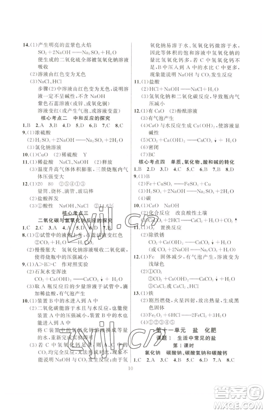 延邊大學(xué)出版社2023高手點(diǎn)題九年級(jí)下冊(cè)化學(xué)人教版參考答案