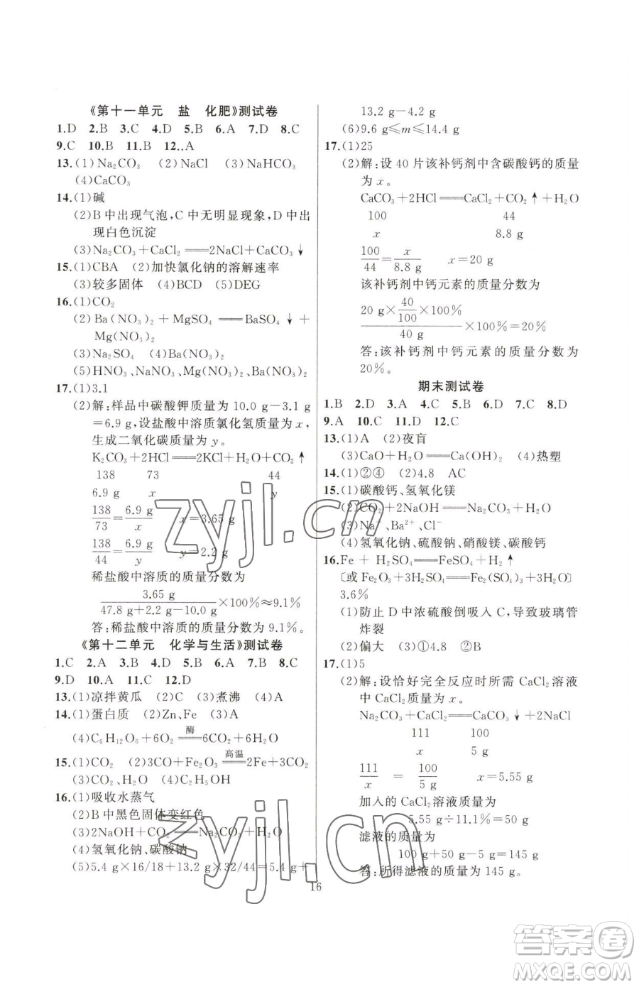 延邊大學(xué)出版社2023高手點(diǎn)題九年級(jí)下冊(cè)化學(xué)人教版參考答案