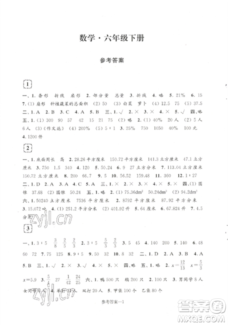 江蘇鳳凰少年兒童出版社2023學(xué)習(xí)樂(lè)園單元自主檢測(cè)六年級(jí)數(shù)學(xué)下冊(cè)蘇教版參考答案