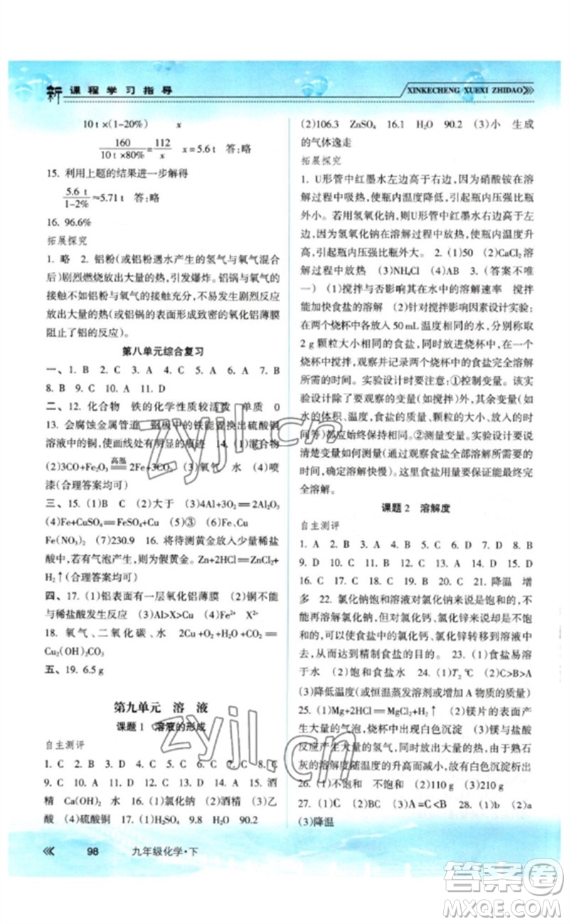 南方出版社2023新課程學(xué)習(xí)指導(dǎo)九年級(jí)化學(xué)下冊(cè)人教版參考答案