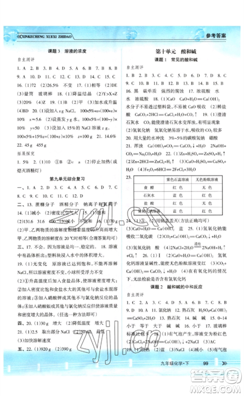 南方出版社2023新課程學(xué)習(xí)指導(dǎo)九年級(jí)化學(xué)下冊(cè)人教版參考答案
