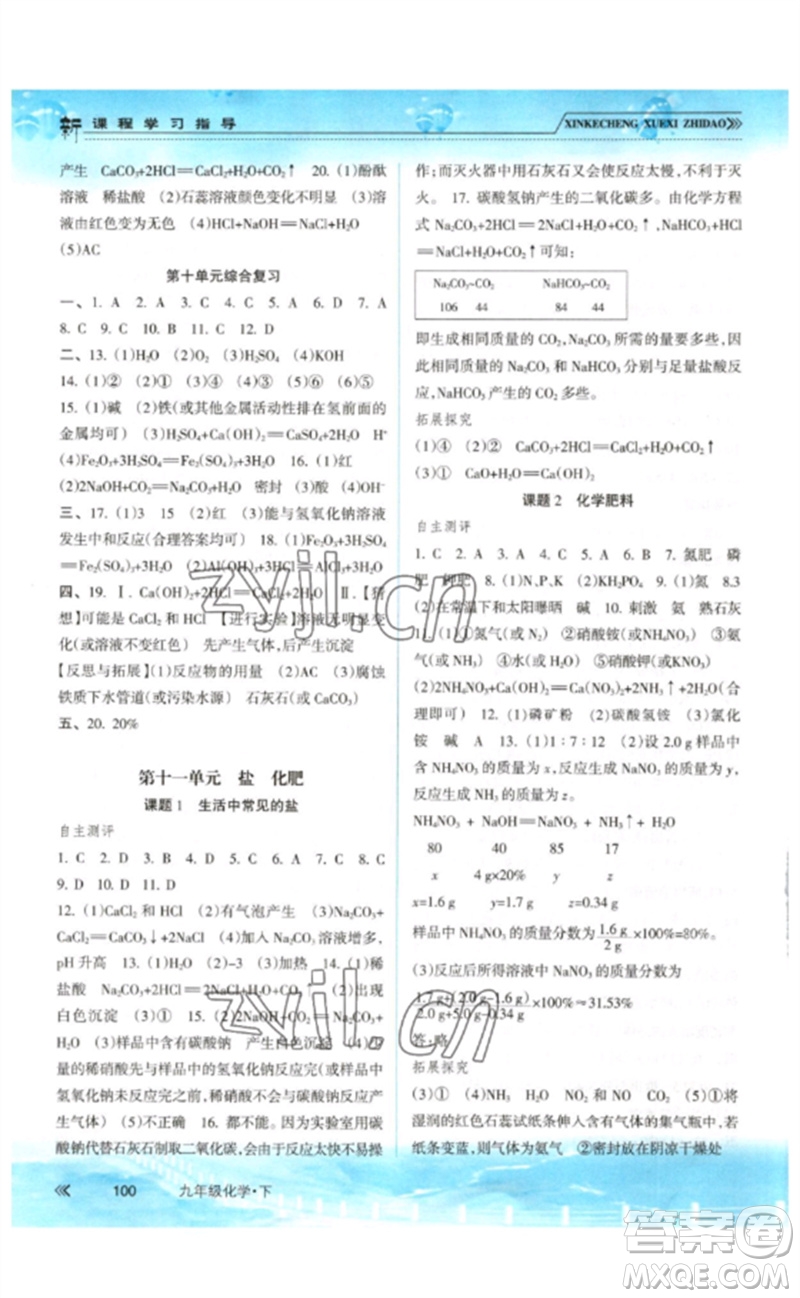 南方出版社2023新課程學(xué)習(xí)指導(dǎo)九年級(jí)化學(xué)下冊(cè)人教版參考答案