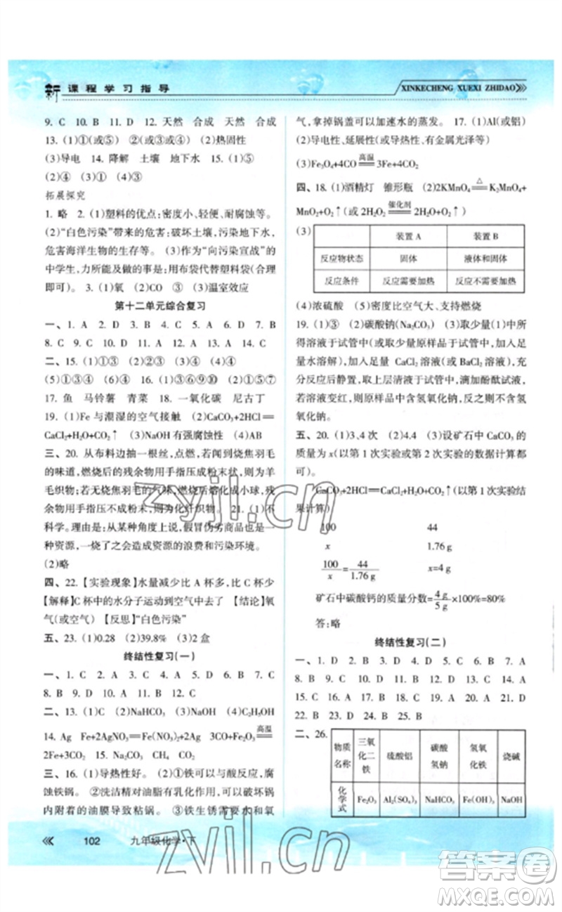 南方出版社2023新課程學(xué)習(xí)指導(dǎo)九年級(jí)化學(xué)下冊(cè)人教版參考答案