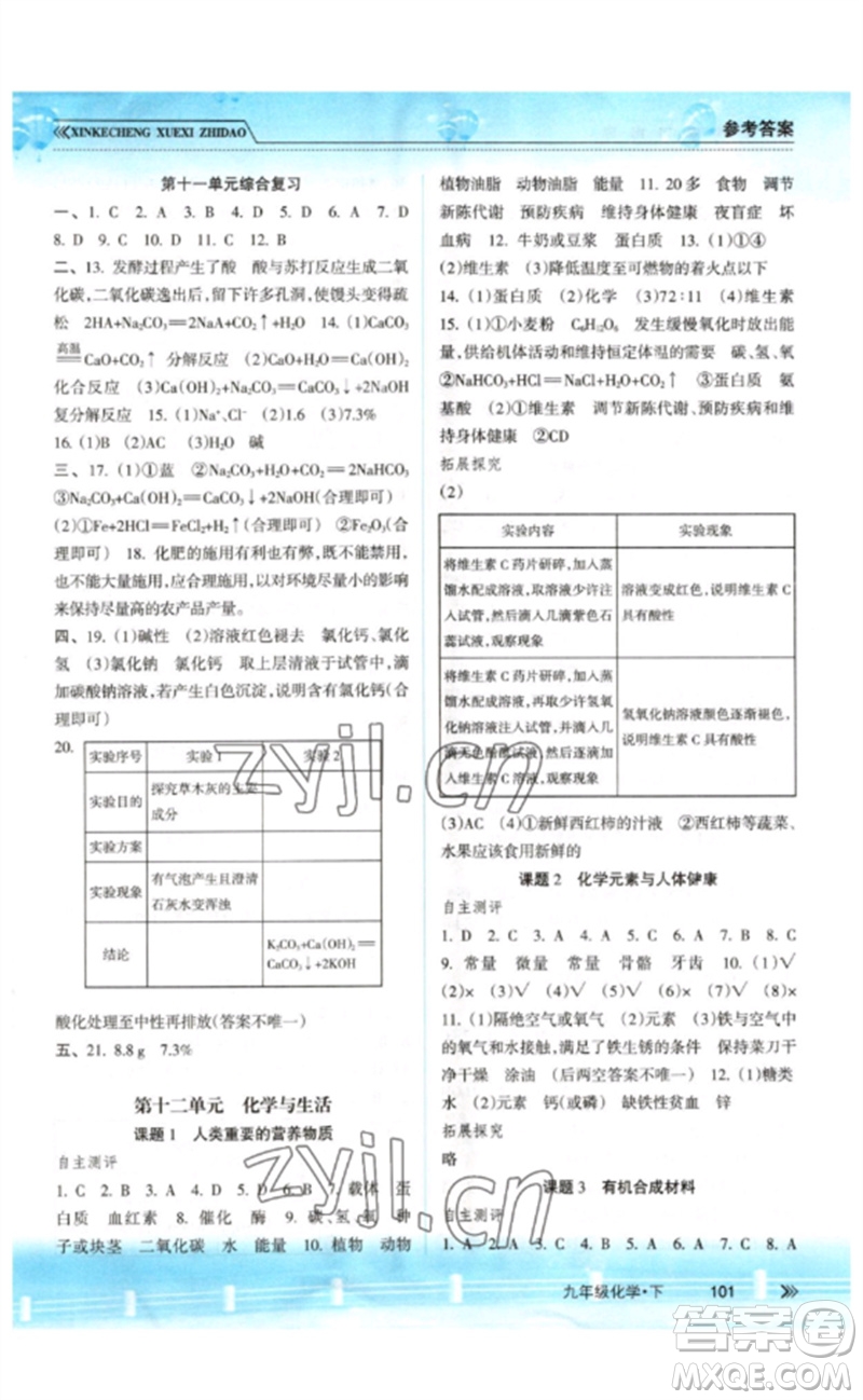 南方出版社2023新課程學(xué)習(xí)指導(dǎo)九年級(jí)化學(xué)下冊(cè)人教版參考答案