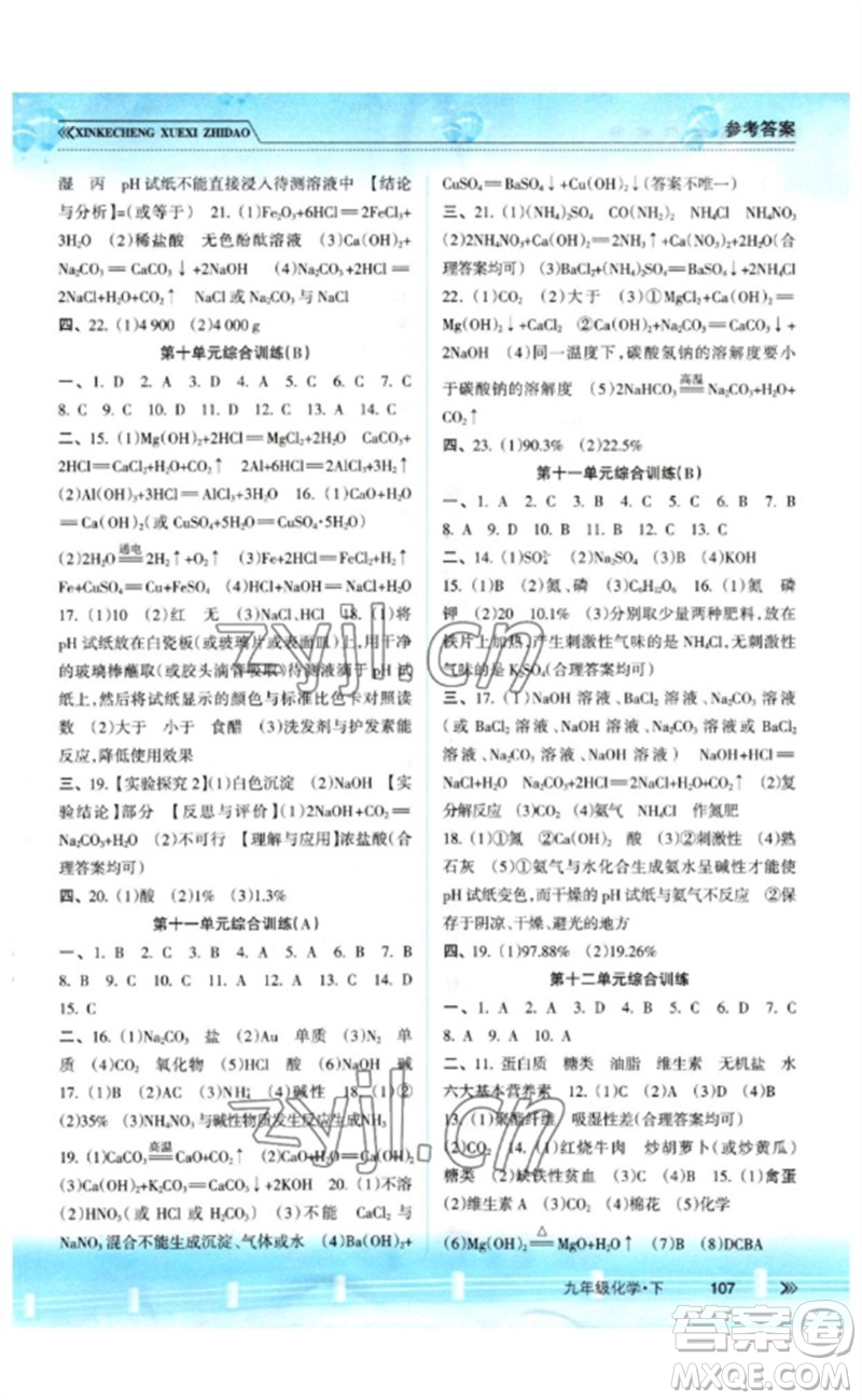南方出版社2023新課程學(xué)習(xí)指導(dǎo)九年級(jí)化學(xué)下冊(cè)人教版參考答案