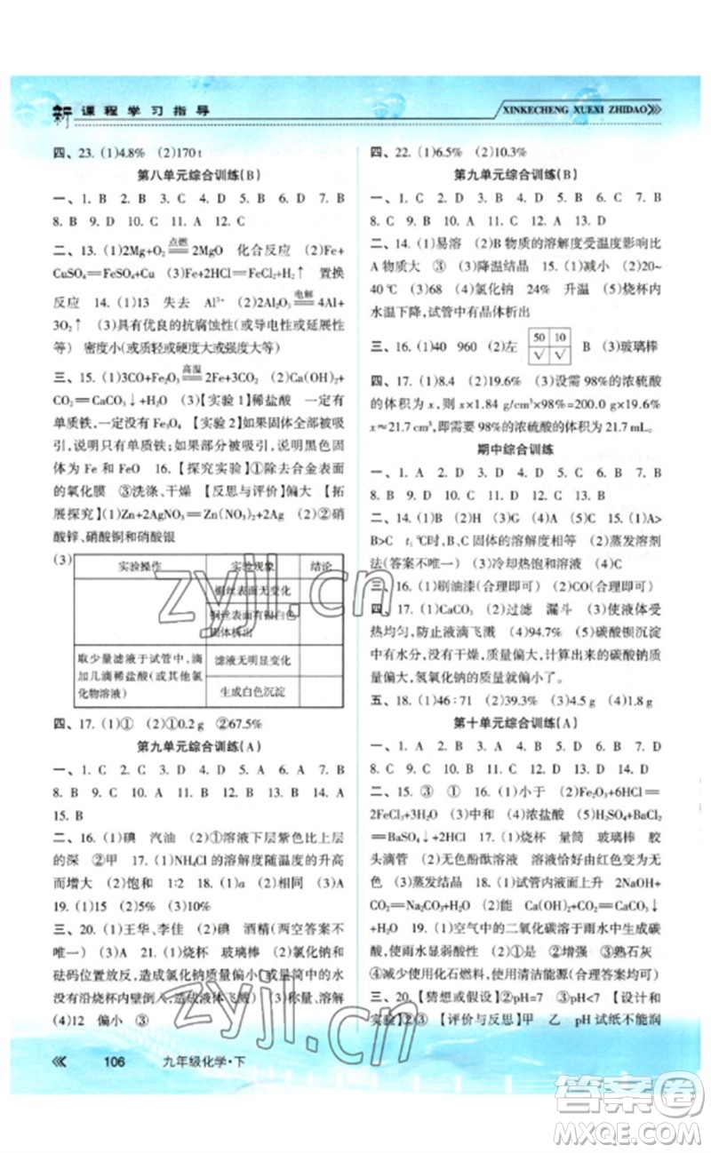 南方出版社2023新課程學(xué)習(xí)指導(dǎo)九年級(jí)化學(xué)下冊(cè)人教版參考答案