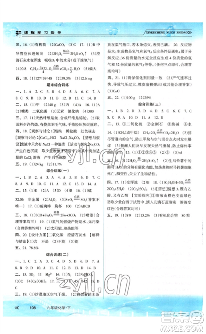 南方出版社2023新課程學(xué)習(xí)指導(dǎo)九年級(jí)化學(xué)下冊(cè)人教版參考答案