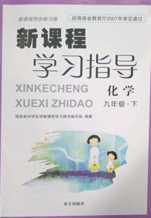 南方出版社2023新課程學(xué)習(xí)指導(dǎo)九年級(jí)化學(xué)下冊(cè)人教版參考答案