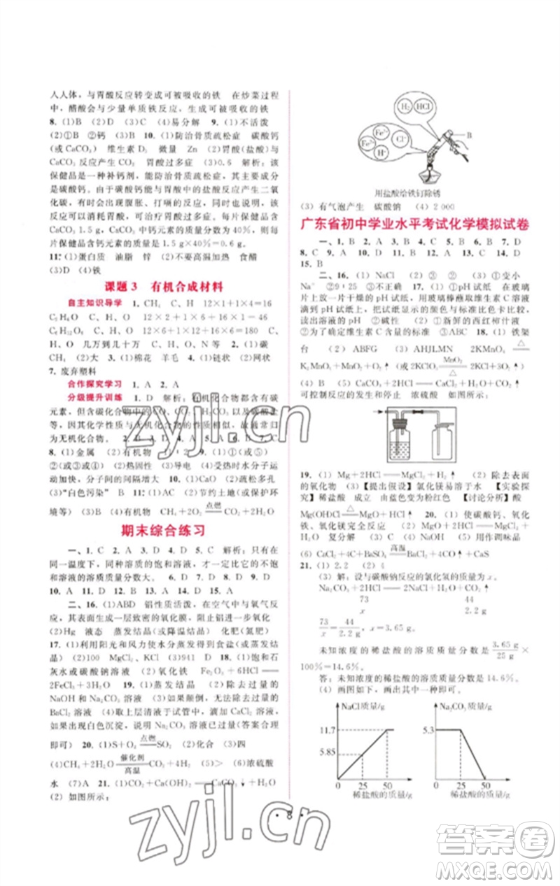 廣西師范大學(xué)出版社2023新課程學(xué)習(xí)輔導(dǎo)九年級(jí)化學(xué)下冊(cè)人教版參考答案