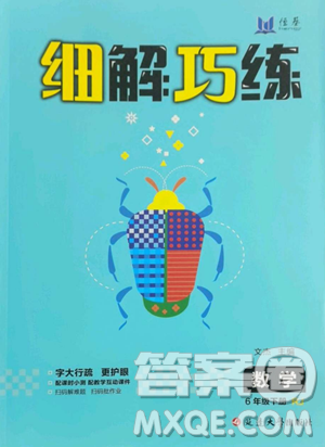 延邊大學(xué)出版社2023細(xì)解巧練六年級(jí)下冊(cè)數(shù)學(xué)人教版參考答案