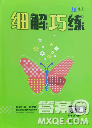 延邊大學(xué)出版社2023細(xì)解巧練六年級(jí)下冊(cè)英語(yǔ)人教版參考答案