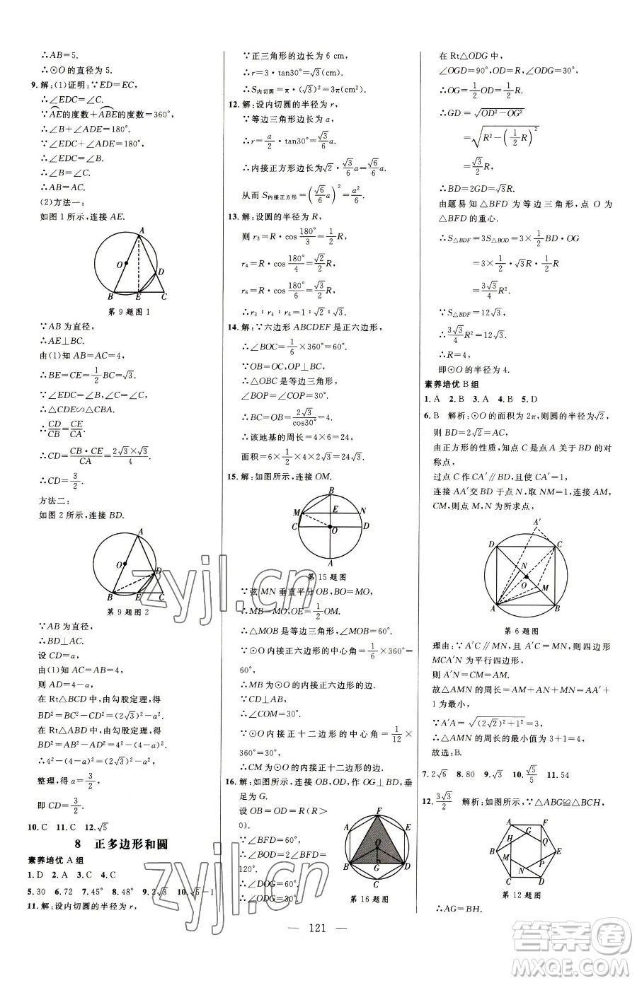 延邊大學(xué)出版社2023細(xì)解巧練九年級下冊數(shù)學(xué)魯教版五四制參考答案