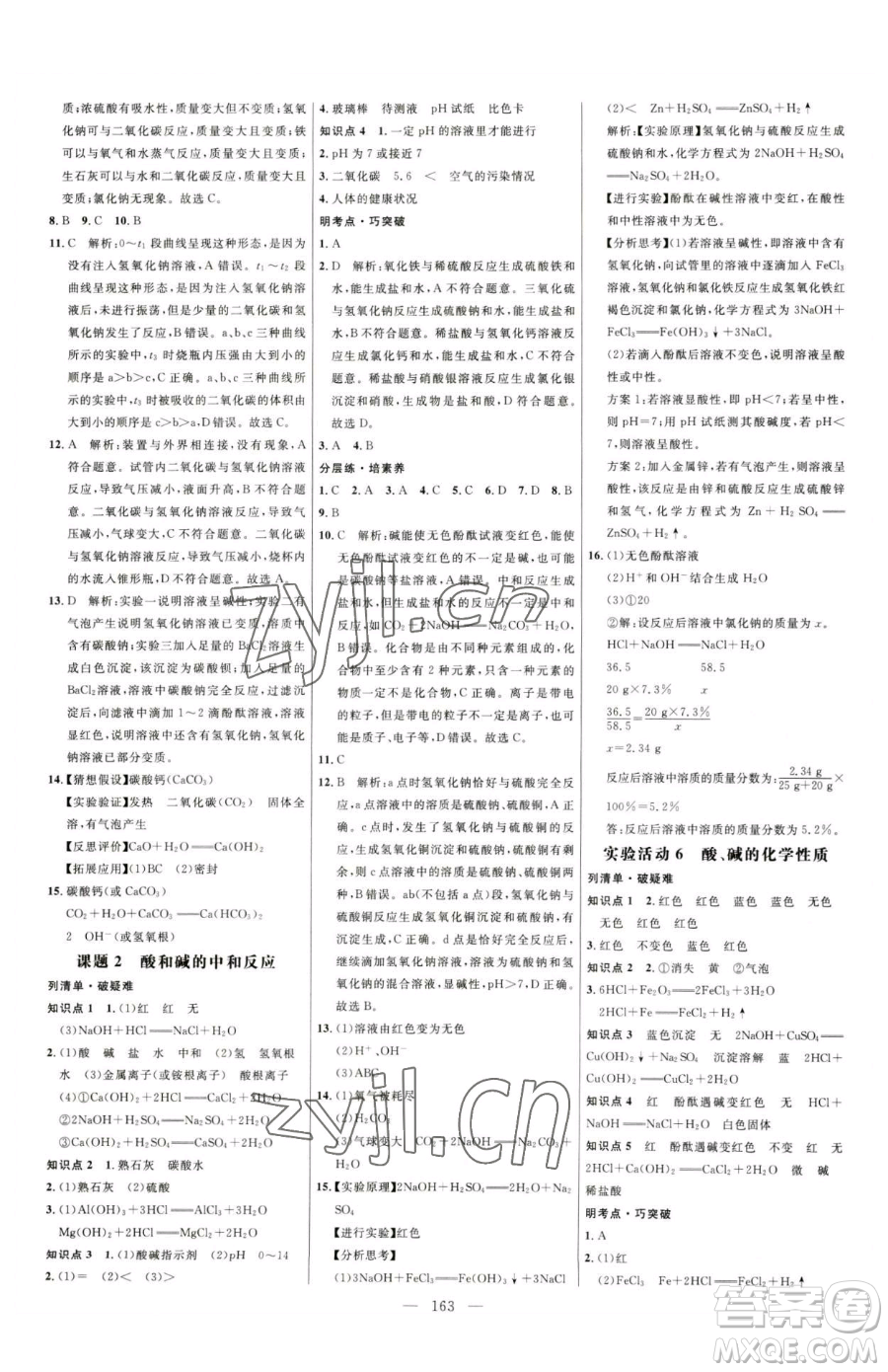 延邊大學(xué)出版社2023細(xì)解巧練九年級(jí)下冊(cè)化學(xué)人教版參考答案