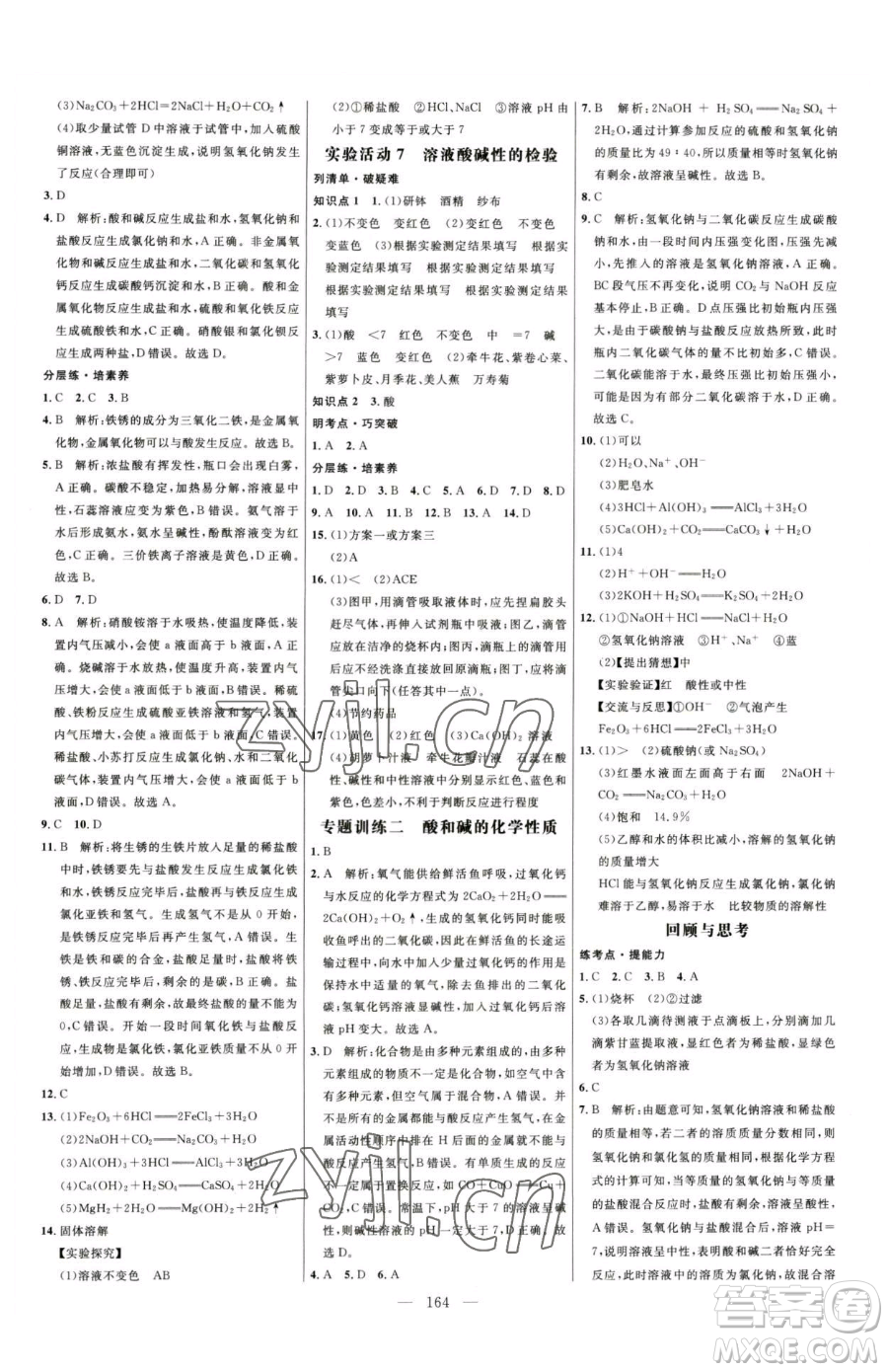 延邊大學(xué)出版社2023細(xì)解巧練九年級(jí)下冊(cè)化學(xué)人教版參考答案