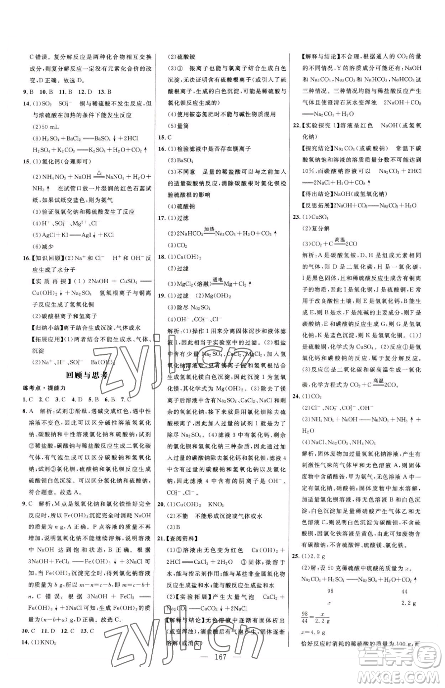 延邊大學(xué)出版社2023細(xì)解巧練九年級(jí)下冊(cè)化學(xué)人教版參考答案