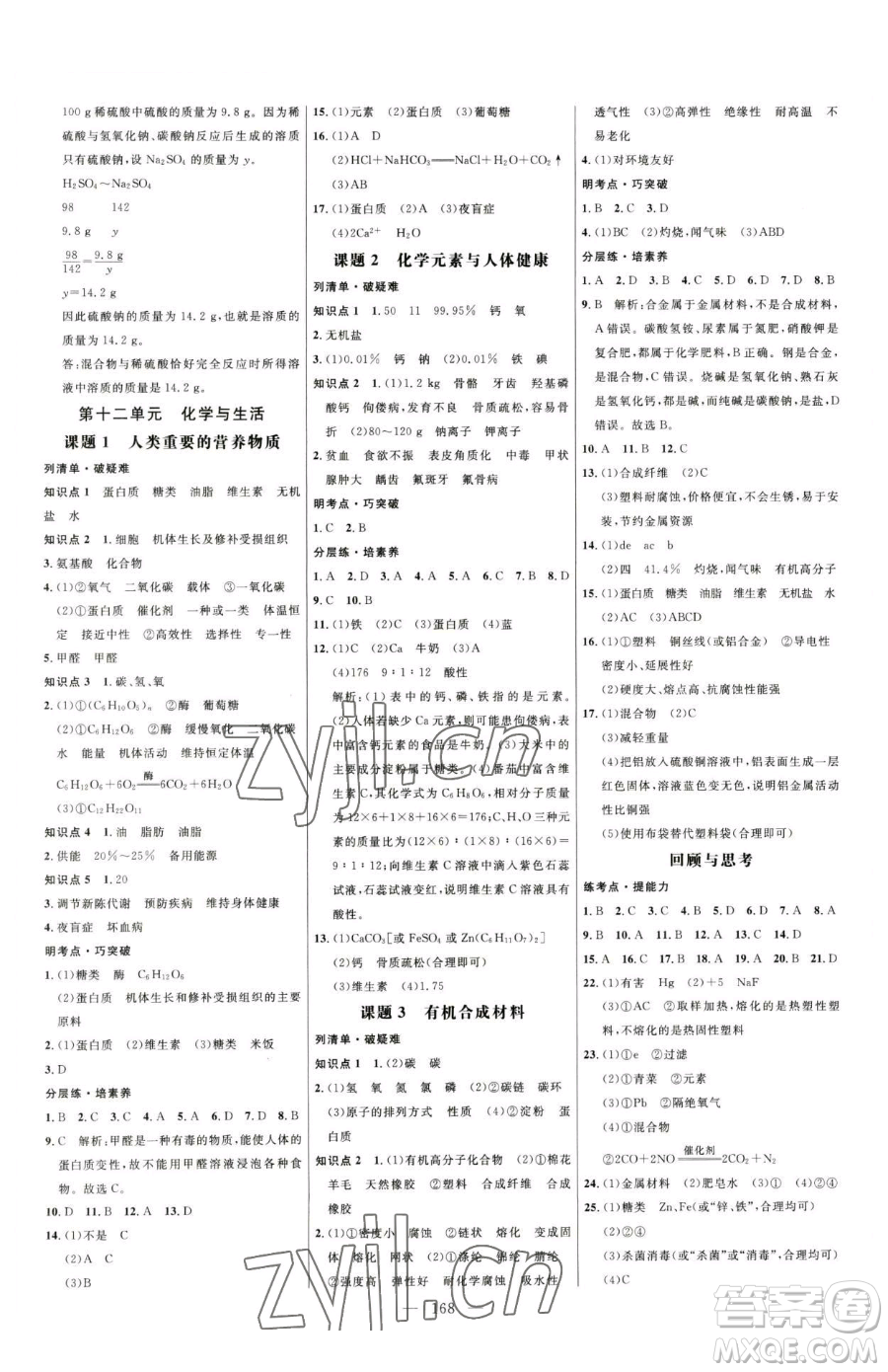 延邊大學(xué)出版社2023細(xì)解巧練九年級(jí)下冊(cè)化學(xué)人教版參考答案