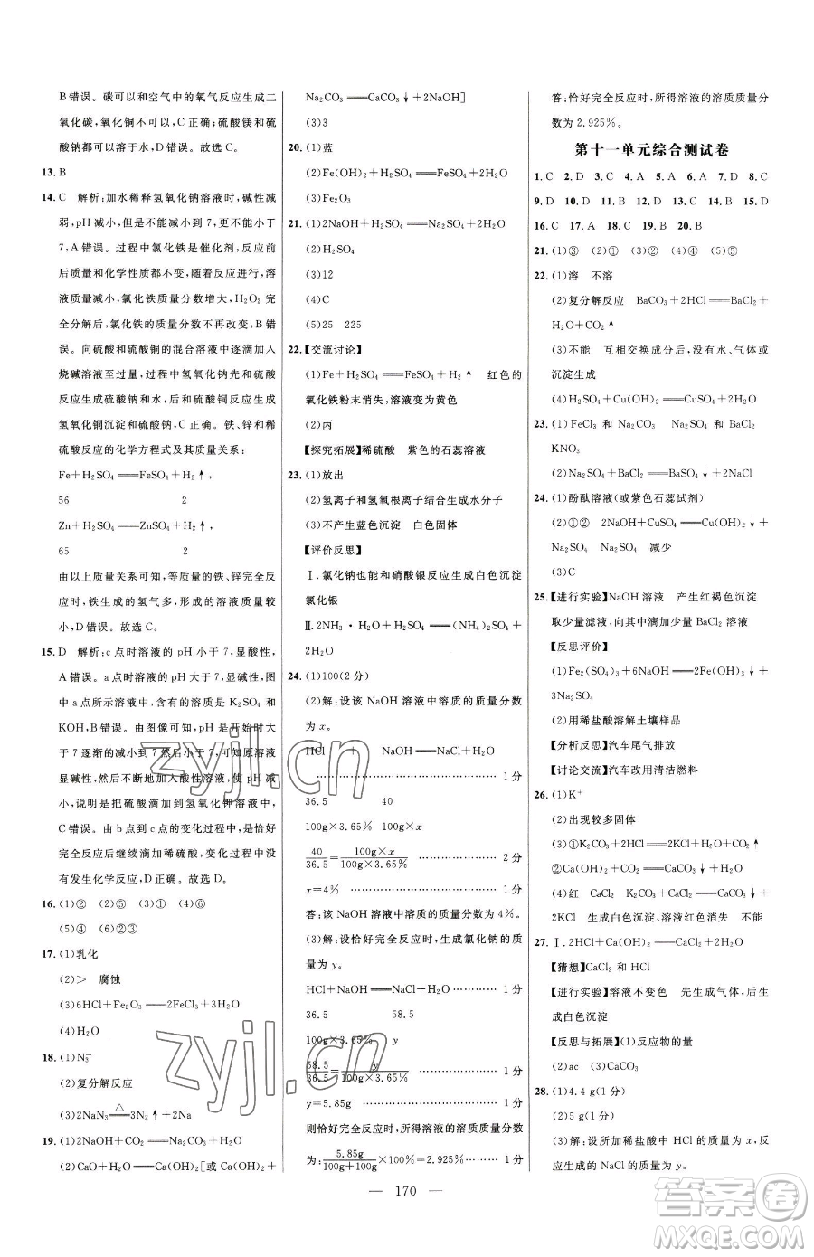 延邊大學(xué)出版社2023細(xì)解巧練九年級(jí)下冊(cè)化學(xué)人教版參考答案