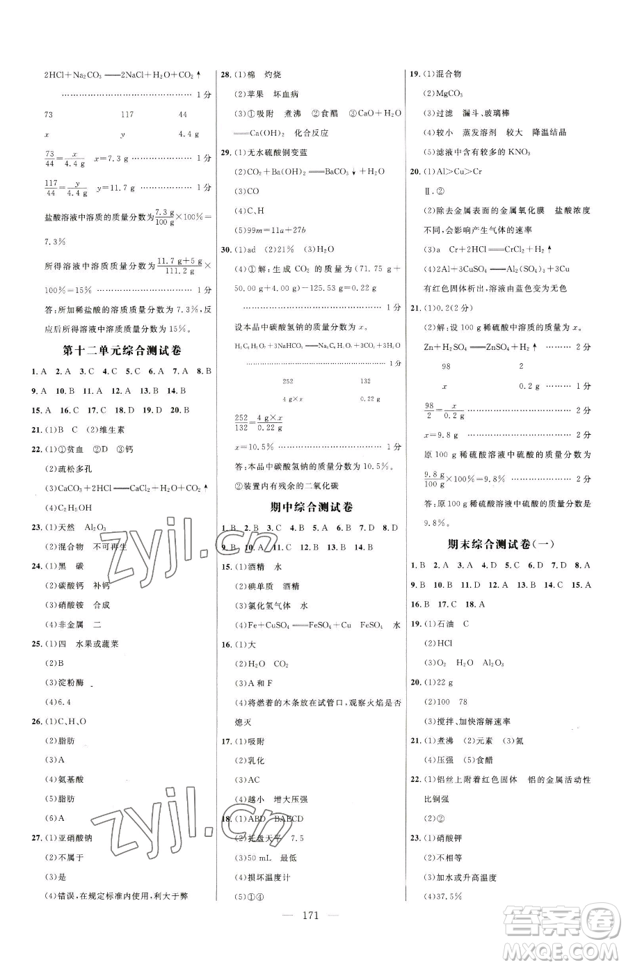 延邊大學(xué)出版社2023細(xì)解巧練九年級(jí)下冊(cè)化學(xué)人教版參考答案