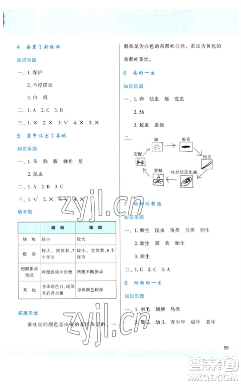 陜西人民教育出版社2023新課程學習與評價三年級科學下冊教科版參考答案