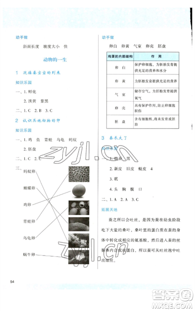 陜西人民教育出版社2023新課程學習與評價三年級科學下冊教科版參考答案