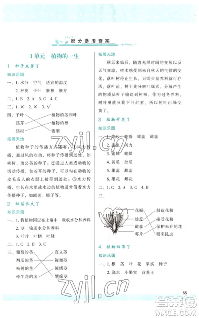 陜西人民教育出版社2023新課程學(xué)習(xí)與評價三年級科學(xué)下冊蘇教版參考答案