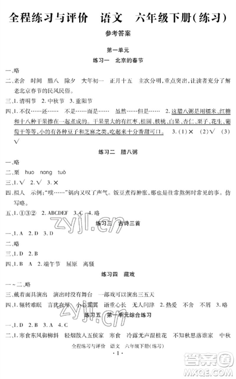 浙江人民出版社2023全程練習與評價六年級語文下冊人教版參考答案
