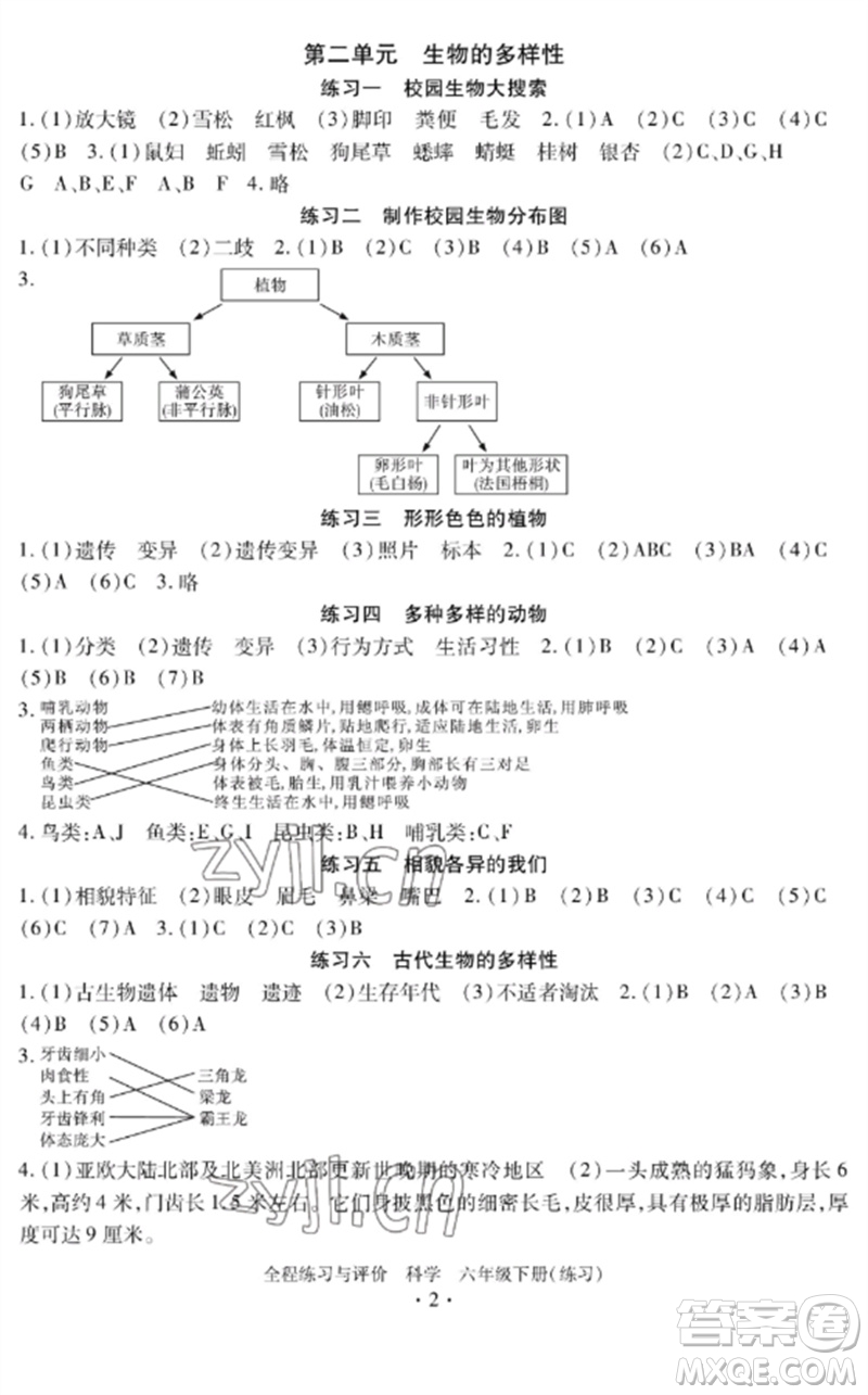 浙江人民出版社2023全程練習(xí)與評價六年級科學(xué)下冊教科版參考答案
