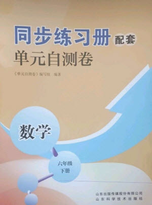 山東科學(xué)技術(shù)出版社2023同步練習冊配套單元自測卷六年級數(shù)學(xué)下冊人教版參考答案
