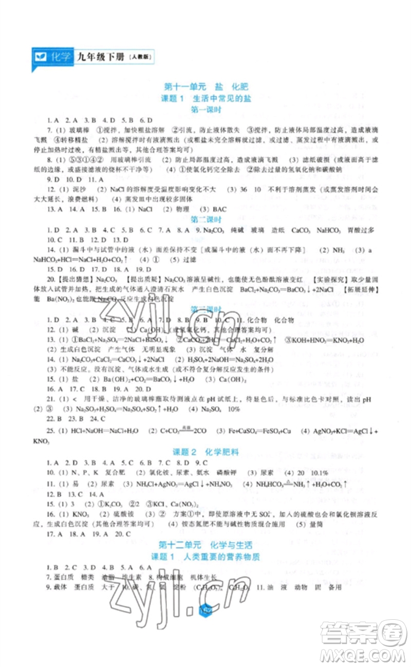 遼海出版社2023新課程化學(xué)能力培養(yǎng)九年級下冊人教版參考答案