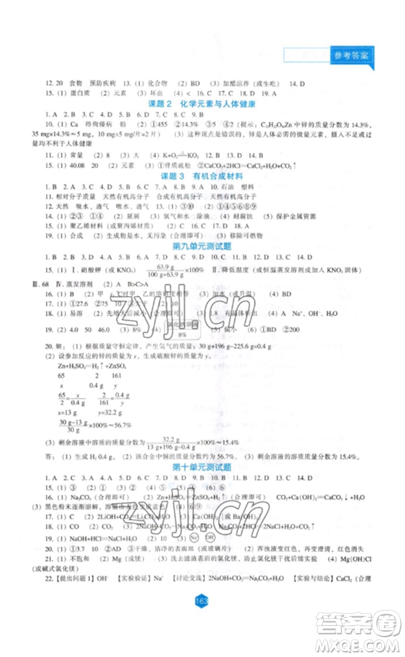 遼海出版社2023新課程化學(xué)能力培養(yǎng)九年級下冊人教版參考答案