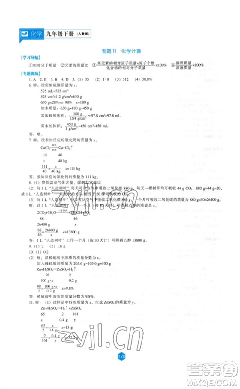 遼海出版社2023新課程化學(xué)能力培養(yǎng)九年級下冊人教版參考答案