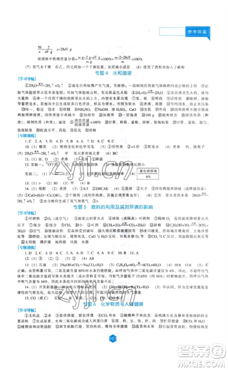 遼海出版社2023新課程化學(xué)能力培養(yǎng)九年級下冊人教版參考答案