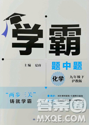 甘肅少年兒童出版社2023經(jīng)綸學(xué)典學(xué)霸題中題九年級下冊化學(xué)滬教版參考答案