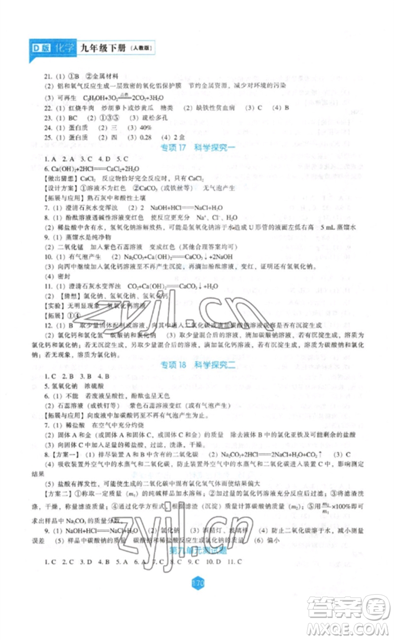 遼海出版社2023新課程化學能力培養(yǎng)九年級下冊人教版D版大連專用參考答案