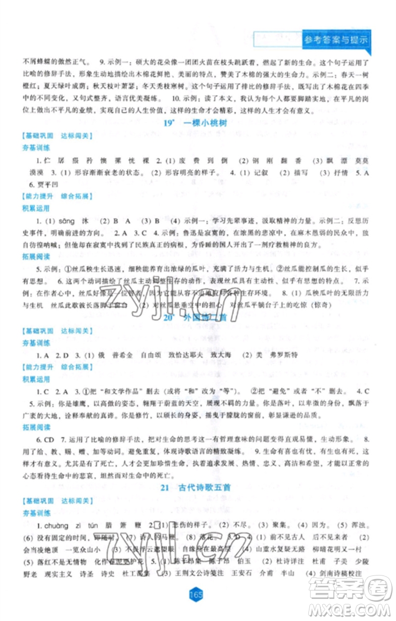 遼海出版社2023新課程語(yǔ)文能力培養(yǎng)七年級(jí)下冊(cè)人教版參考答案