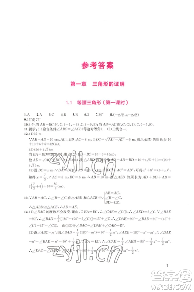 四川教育出版社2023新課程實(shí)踐與探究叢書八年級(jí)數(shù)學(xué)下冊北師大版參考答案